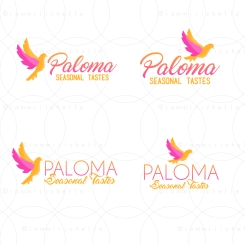 Paloma Logo Choices
